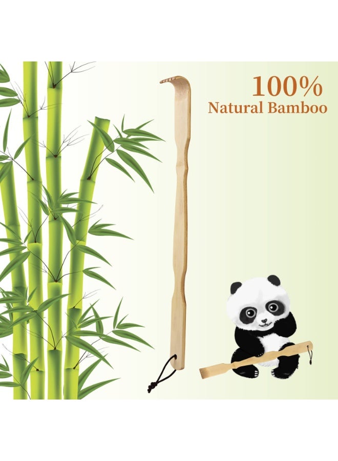 الخيزران الخردان الخردان الخردان الخردان الخردان الخردان الخردان الخردان الخردان الخردان الخردان الخردان الخردان الخردان الخردان الخردان الخردان الخردان الخردان الخردان الخردان الخردان الخردان الخردان الخردان الخردان الخردان الخردان - Image 5